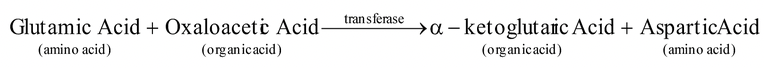 Nomenclatures of Enzymes